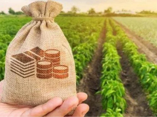 image-df6tk0xyqgcdynfvyrg3aumjzo6ts6aweoburh7e_1200