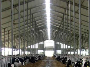 image-f8a4b118-d4e4-4fee-ae00-e8e4682813ae