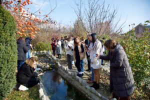 image-img-20251203-wa0178