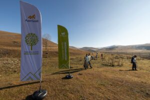 image-img-20251205-wa0030