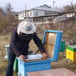 image-img-20251208-wa0031