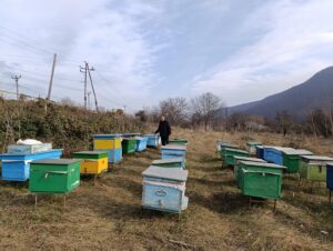 image-img-20251208-wa0032