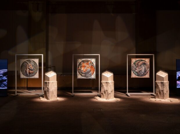 image-img-20251226-wa0149