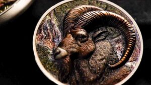 image-img-20251226-wa0151