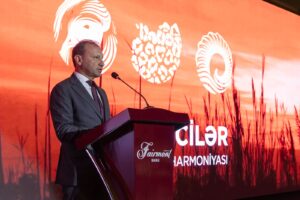 image-img-20251226-wa0160