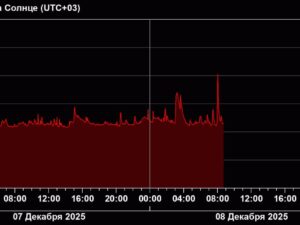 image-img_20251208_122021_882