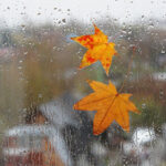 image-interpress_bf92a9150d026debd61b04e904e6de20_j41f7ikemh6y80xr2nwc