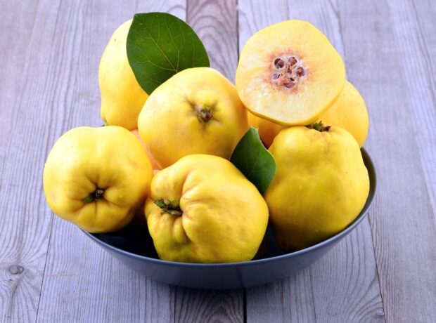 image-preview_fotolia_102322288_subscription_xl