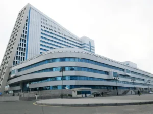 image-01ke95reghzy1v1kkd9jg9yynt-large