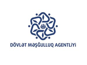 image-01kee3fh9q5aqyndvj9e2rn80z-large-1