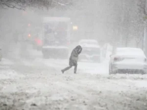 image-0bdiqkczojain1mc0tjygz0wyelibijtagtlwegm_1200