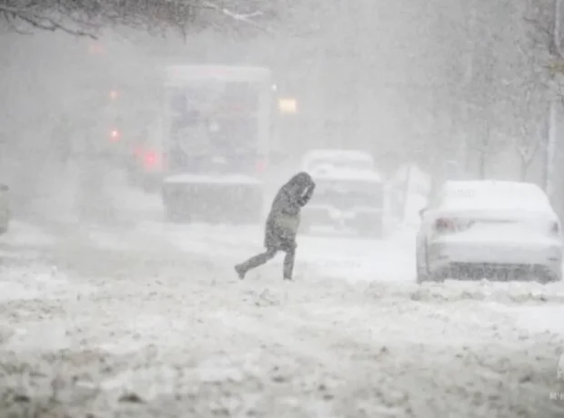 image-0bdiqkczojain1mc0tjygz0wyelibijtagtlwegm_1200