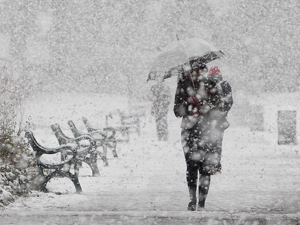 image-1561e3db8bec0ad