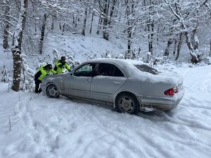 image-1673273834431351998_1200x630