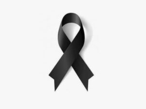 image-1764416263_img_8960