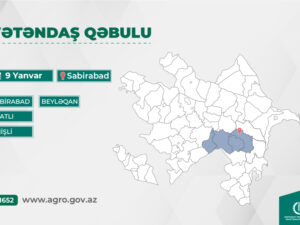 image-17675963894480612881_1200x630