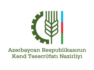 image-176768864763250880_1200x630