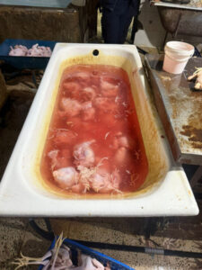 image-17676932343332335385_1200x630