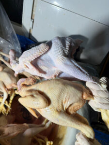 image-17676932343853462817_1200x630