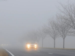 image-176777660288409216_1200x630