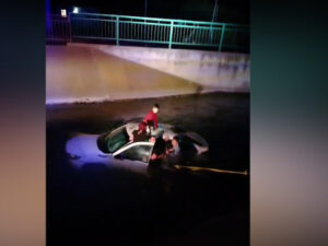 image-17678494191652645177_1200x630