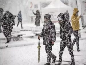 image-1768275206_img-20260113-wa0032