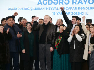 image-17683144013398640571_1200x630