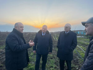 image-17685725851471255900_1200x630