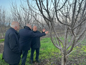 image-1768572585381971811_1200x630