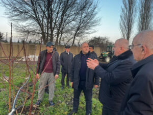 image-17685725854863556671_1200x630