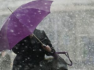 image-1768640215-1155307