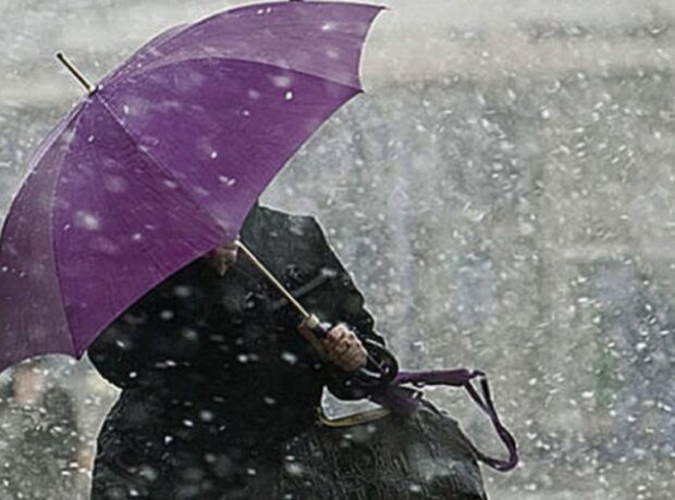 image-1768640215-1155307