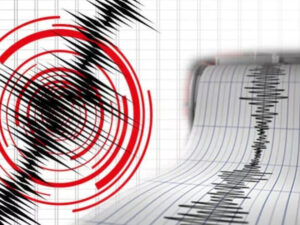 image-17688060541531460162_1200x630