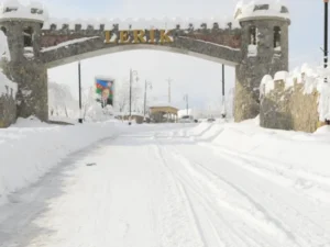 image-1768977699158-gfjt7ynb2r