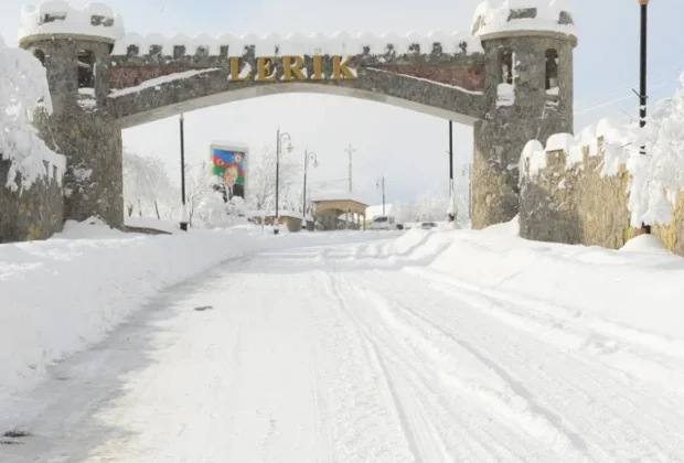 image-1768977699158-gfjt7ynb2r