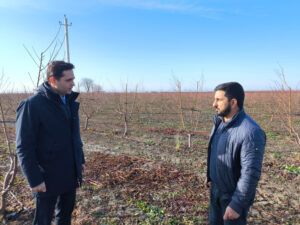 image-17690857015601010810_1200x630