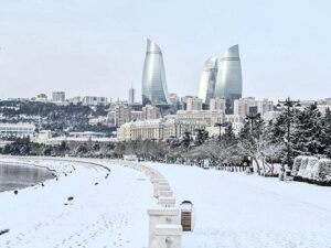 image-1769197023_qarli-bulvar