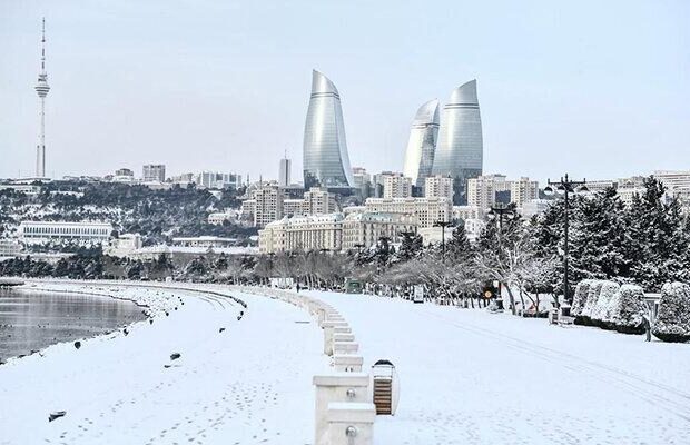 image-1769197023_qarli-bulvar