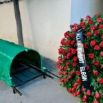 image-1769287198_resize-42