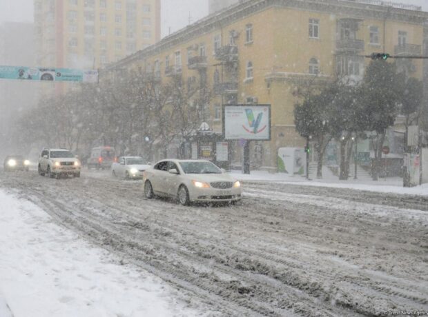 image-1769375970_qar