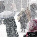 image-1769523311_10jpg-1705064156