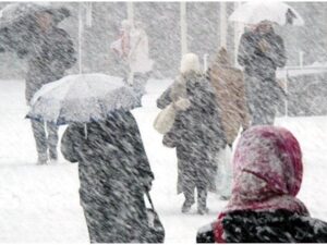 image-1769523311_10jpg-1705064156