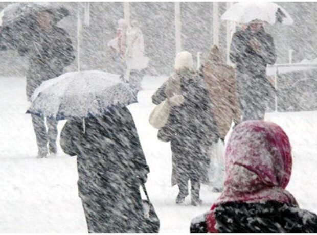 image-1769523311_10jpg-1705064156