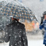 image-29d314d8d109bfa966363cd2b2191bbf