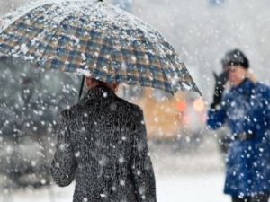 image-29d314d8d109bfa966363cd2b2191bbf