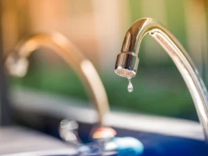 image-2er43qfic2esivkkhmjwx2ll7sj9mhdxfk11srgp