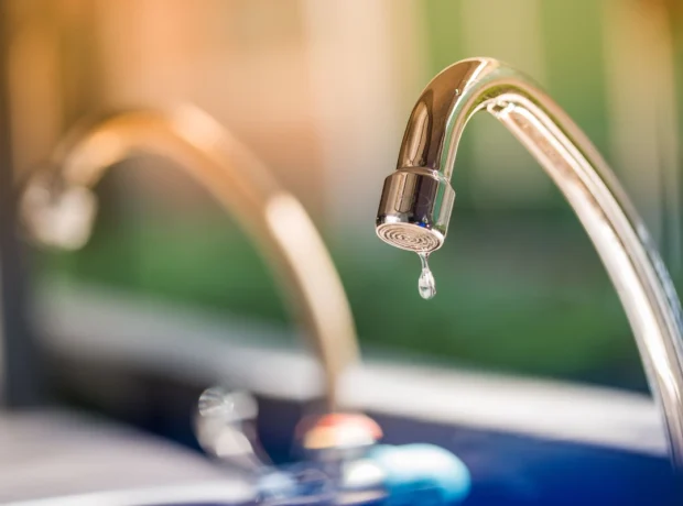 image-2er43qfic2esivkkhmjwx2ll7sj9mhdxfk11srgp