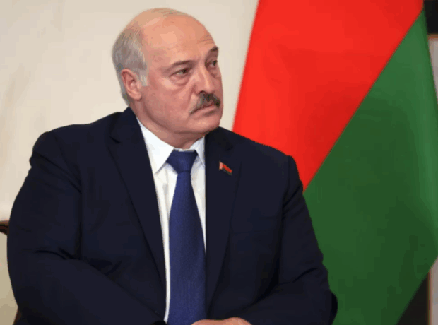 image-695605ad02e8bd0ae51bbef9