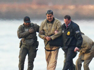 image-695bf41bae5ac928ea5ede92