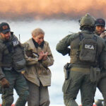 image-695bfc24ae5ac96fbd3ea3a6